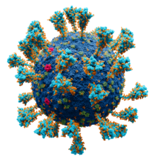 Ozonun moleküler özellikleri koronavirüs tedavilerinde ayrıcalıklı bir yere sahiptir.